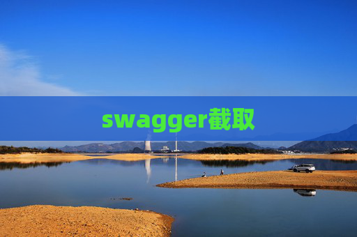 swagger截取